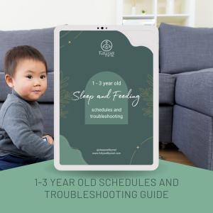 1-3 year old schedules and troubleshooting guide image